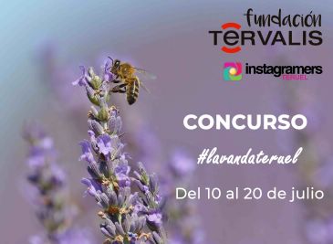 Fundación Térvalis e Instagramers de Teruel ponen en marcha el III Concurso de Fotografía #LavandaTeruel