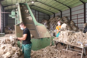 La Sierra trabaja un proyecto para convertir la lana en fertilizante y revalorizarla