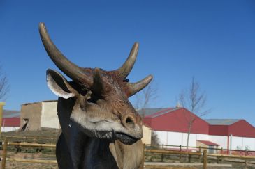 Un hipopótamo, un mastodonte y un lobo se incorporarán al safari del Turoliense