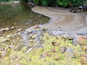 Investigan el alcance de la afección del vertido de purines en el río Algars