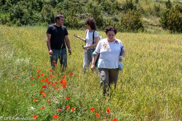 El CITA iniciará en septiembre el proyecto europeo LIFE PollinAction en Cantavieja y Ejea de los Caballeros