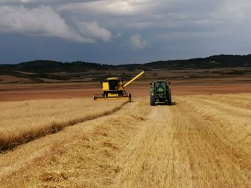 El pedrisco releva a la sequía como el principal daño de los campos turolenses