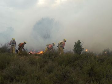 La DGA quiere tener en 2021 el nuevo modelo de gestión forestal y niega que se vaya a externalizar