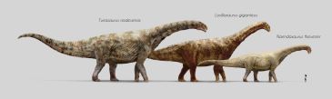 Riodeva suma su segundo dinosaurio gigante a su fauna jurásica, un ‘Losillasaurus giganteus’