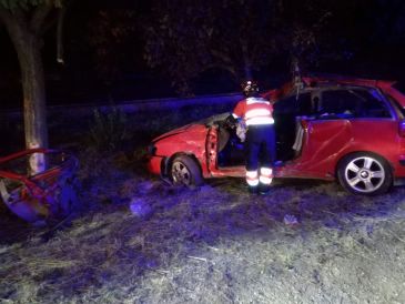 Un herido grave al chocar contra un árbol en Monreal del Campo