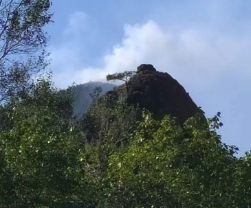 Controlado el incendio que se ha declarado esta mañana en los Puertos de Beceite