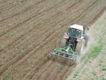 El Plan Especial de Empleo Agrario 2020 dejará en Teruel una inversión de 160.773 euros para 15 proyectos