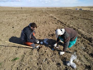 El cultivo ecológico aumenta los ingresos de las explotaciones cerealistas un 30%