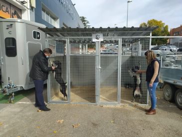 El Centro de Acogida de Animales de Teruel anima a la adopción