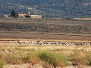 Medio Natural recupera la gestión de un millón del Fondo de Compensación para Ayuntamientos en Espacios Protegidos