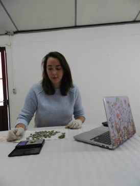 La turolense Paloma Lorente participa en un ambicioso proyecto arqueológico navarro