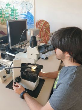 Un mundo colosal de gigantes y pequeños seres atrapado en una gota de resina