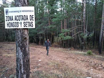 La venta de pases para los parques de setas cae a causa de la mala campaña