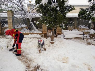 Los bomberos abren el acceso a la protectora de Alcañiz para poder atender a los animales