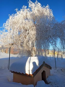 Royuela sigue siendo el congelador de Teruel con 13,9 bajo cero en la estación de Meteoclimatic