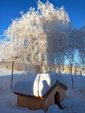 Royuela sigue siendo el congelador de Teruel con 13,9 bajo cero en la estación de Meteoclimatic