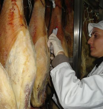 El CEU colabora en la definición científica del secado al natural del jamón en Teruel