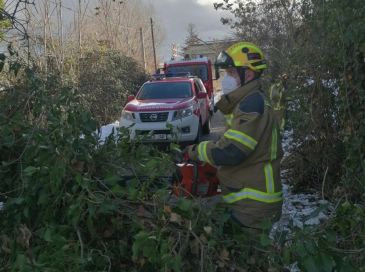 El viento causa algunos problemas en varios puntos de la provincia