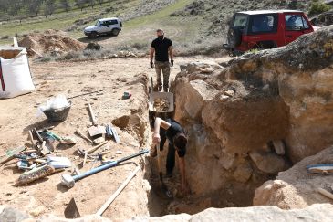 Un estudio plantea que la producción aceitera en el Bajo Aragón podría tener 2.000 años