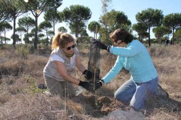 El Bosque Endesa Teruel restaura 20 hectáreas forestales del incendio de Ejulve