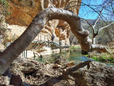 La ruta de Peñarroyas a Obón junto al Río Martín ya es otra vez transitable