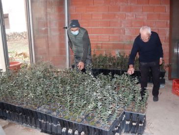 La truficultura mantiene la supervivencia de Alcotas, un barrio de Manzanera