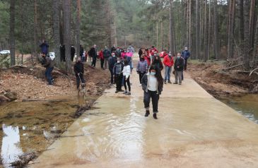 Un centenar de personas participan en el paseo para frenar la tala masiva de pinos en la Vega del Tajo