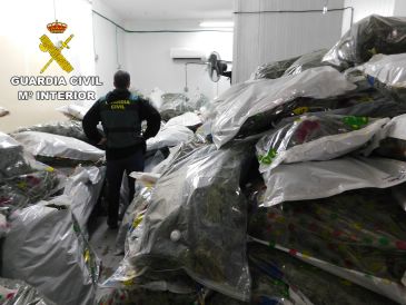 La Guardia Civil de Teruel localiza en Hospitalet de Llobregat más de 2.680 plantas de marihuana en la segunda fase de una operación iniciada en Villel