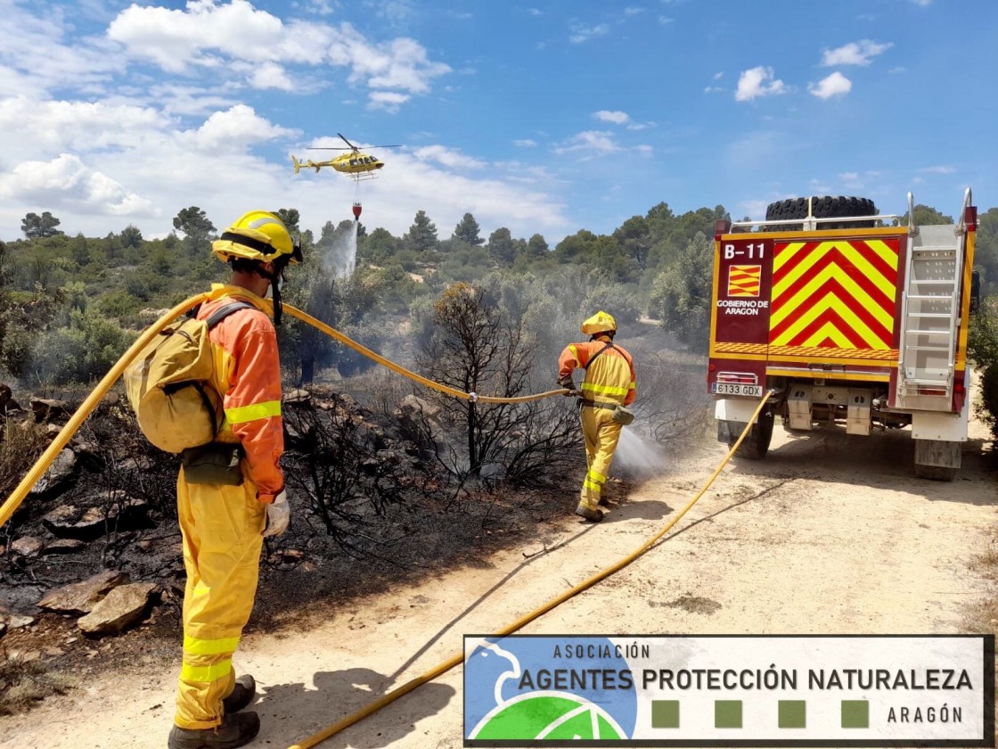 Arde media hectárea en La Codoñera por una quema de olivar