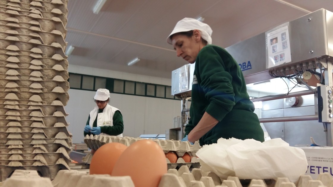 Convocadas ayudas por 1,25 millones a industrias agroalimentarias de Teruel