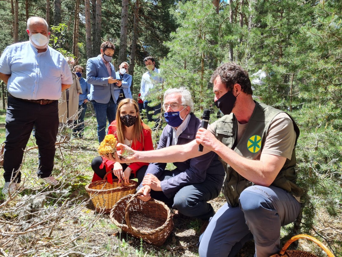 Presentan en Tramacastilla la Asociación de Parques Micológicos de Aragón, órgano de referencia de los recursos micológicos en la Comunidad