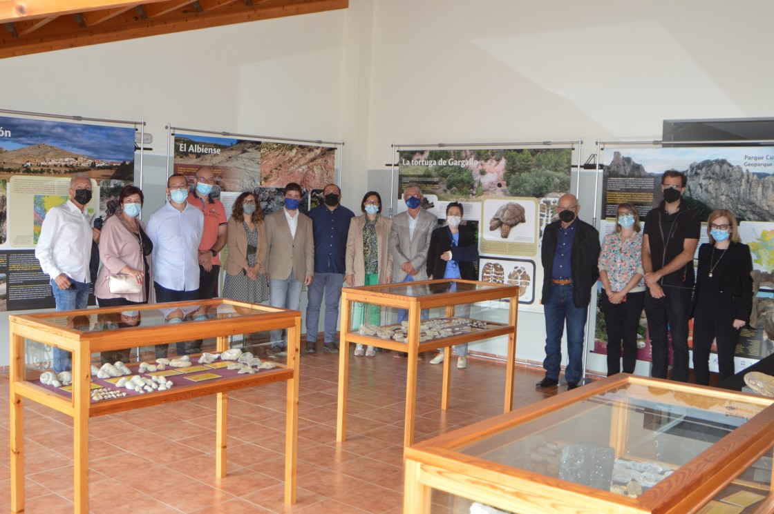 Gargallo pone en valor el descubrimiento de una tortuga fósil en la mina La Pintada