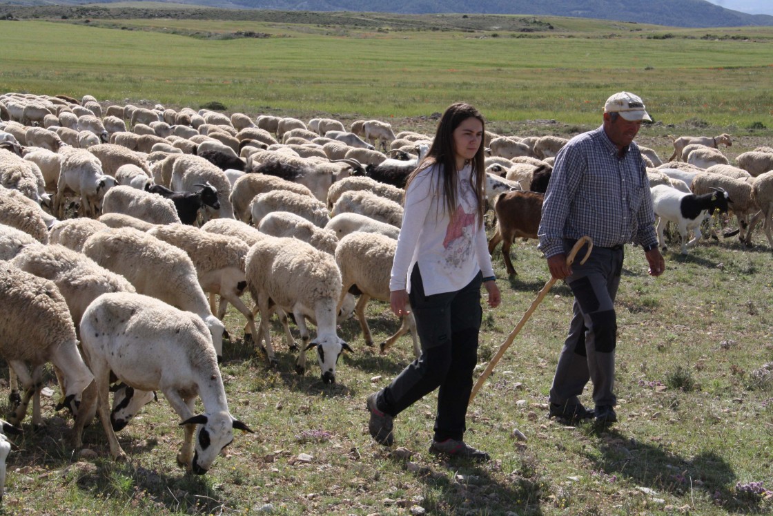 La familia Burillo Royo de Alacón, premiada por su buen hacer ganadero