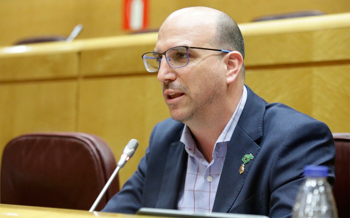 Ponentes propuestos por Teruel Existe inciden en el Senado en que las renovables no son una quimera