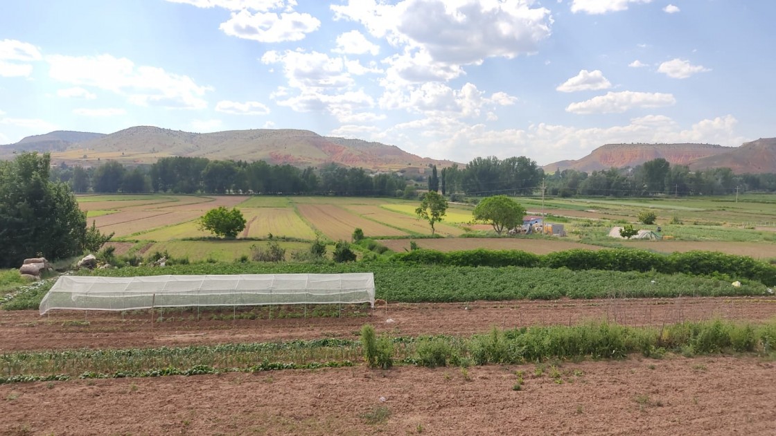 Las organizaciones profesionales agrarias turolenses, muy críticas con el acuerdo de la PAC