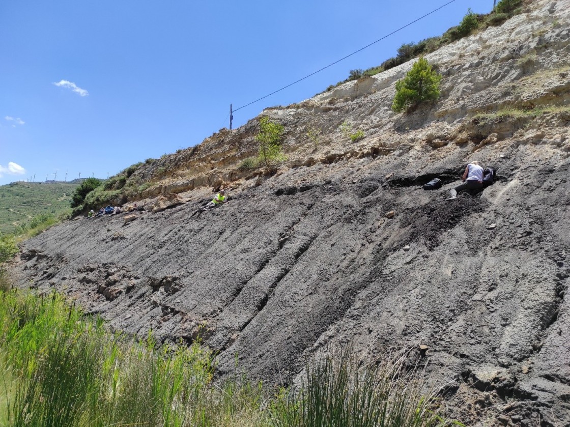 Una campaña de excavación descubre nuevas piezas de ámbar del yacimiento de Sant Just en Utrillas