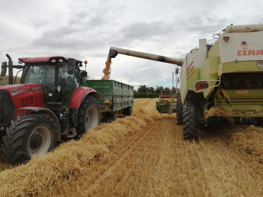 El campo turolense sufre más siniestros  en el primer semestre que en todo el 2020