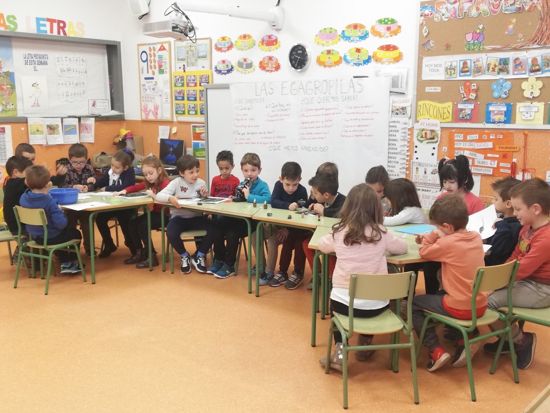 Premiado un recurso TIC educativo del profesorado de CienciaTE