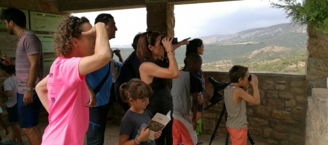 La Red Natura organiza varias actividades en el Paisaje de los Pinares de Rodeno