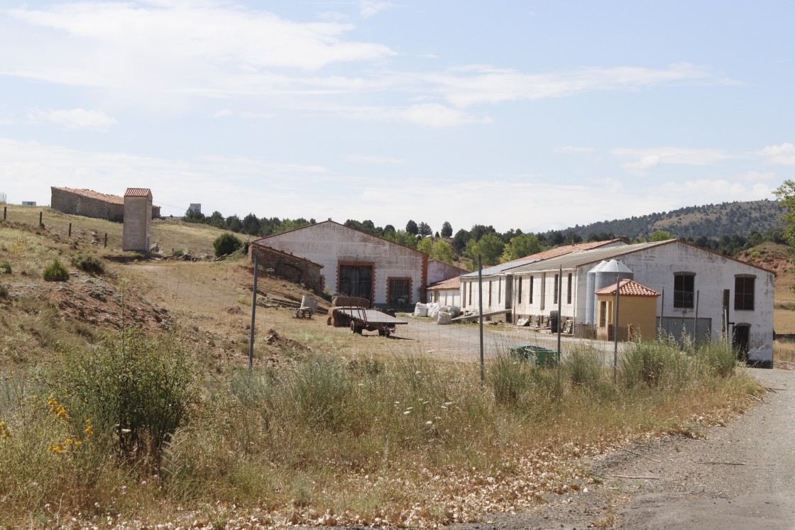 El Gobierno de Aragón reitera que el brote de brucelosis detectado en mayo en La Puebla de Valverde está contolado