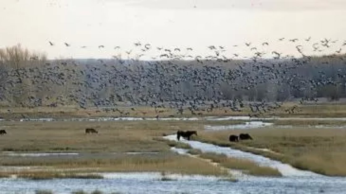 El Gobierno de Aragón firma un convenio de colaboración para la conservación de la fauna amenazada de Teruel