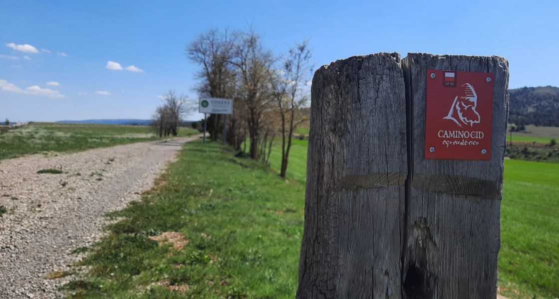 El consorcio del Camino del Cid mantiene y refuerza su señalización en 225 kilómetros de su recorrido por Teruel