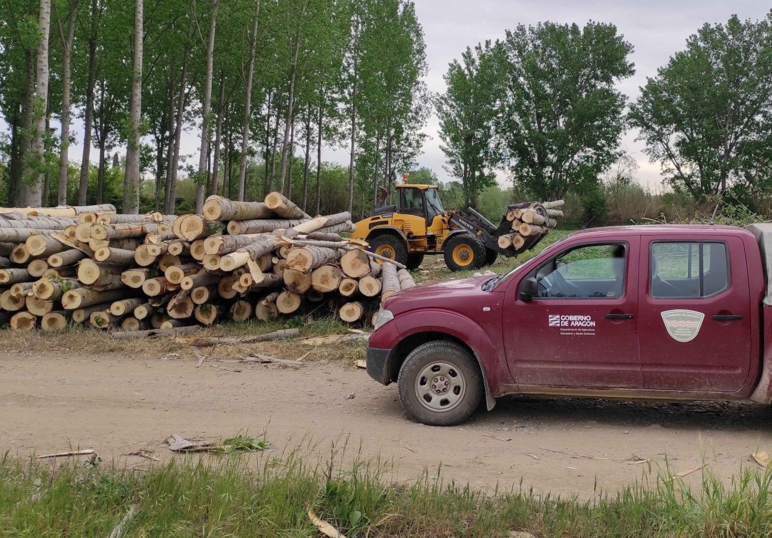 Varios alcaldes de Teruel piden a la DGA que no se agrupen las cuadrillas de incendios porque se perdería efectividad