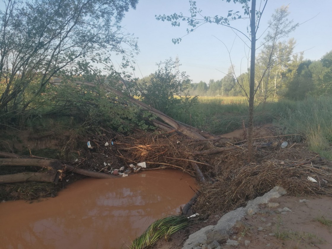 Los dueños de fincas junto al río Alfambra piden que se limpie el cauce para evitar inundaciones