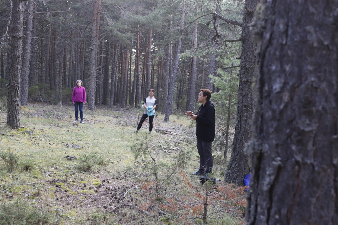 Los baños forestales, una práctica habitual en japón, ya se pueden realizar en Villarroya de los Pinares