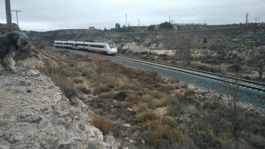 El Gobierno central condiciona la reposición del tren que falta a la demanda de usuarios