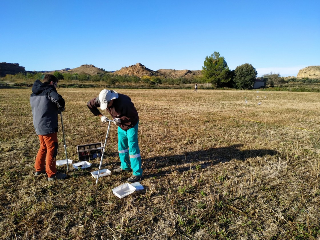 El proyecto Ecosdir ayudará a implantar la nueva PAC en el cereal aragonés