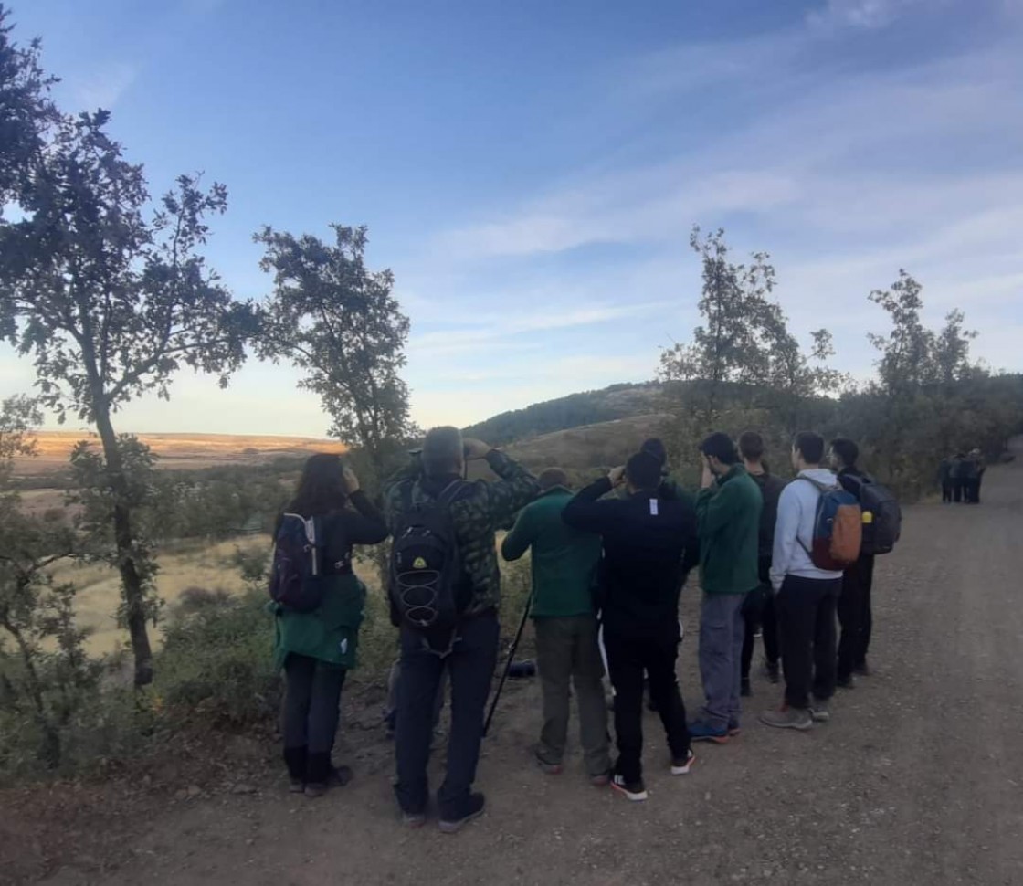 La campaña de la berrea en Orihuela del Tremedal termina con 300 visitas