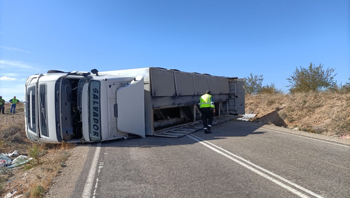 Herido grave el conductor de un camión que transportaba 580 cerdos al salirse de la carretera y volcar en el término de Muniesa