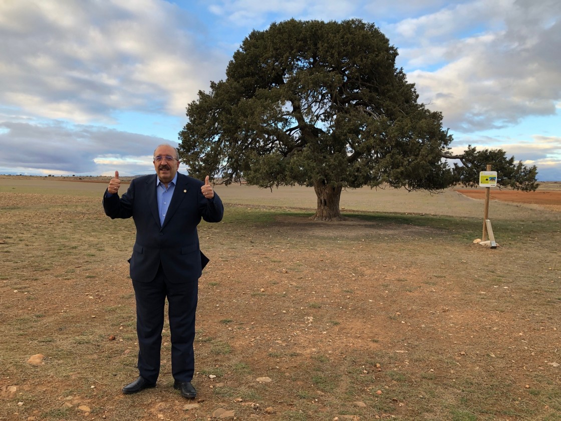 El presidente de la DPT pide un “esfuerzo común” para lograr la candidatura española de la sabina de Blancas a Árbol Europeo